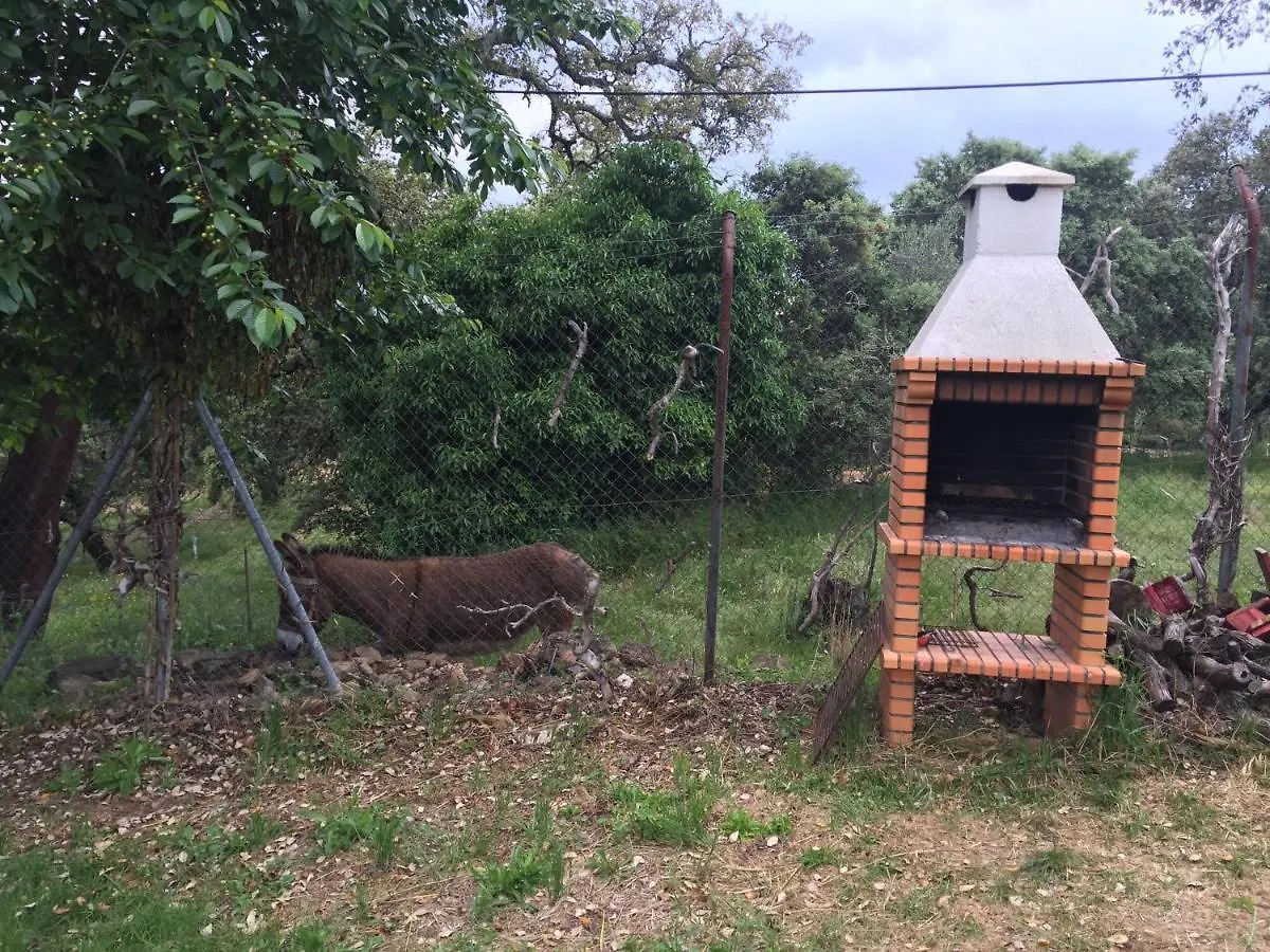 Holiday home Casa Rural “La Julianita” Castano de Robledo Spain